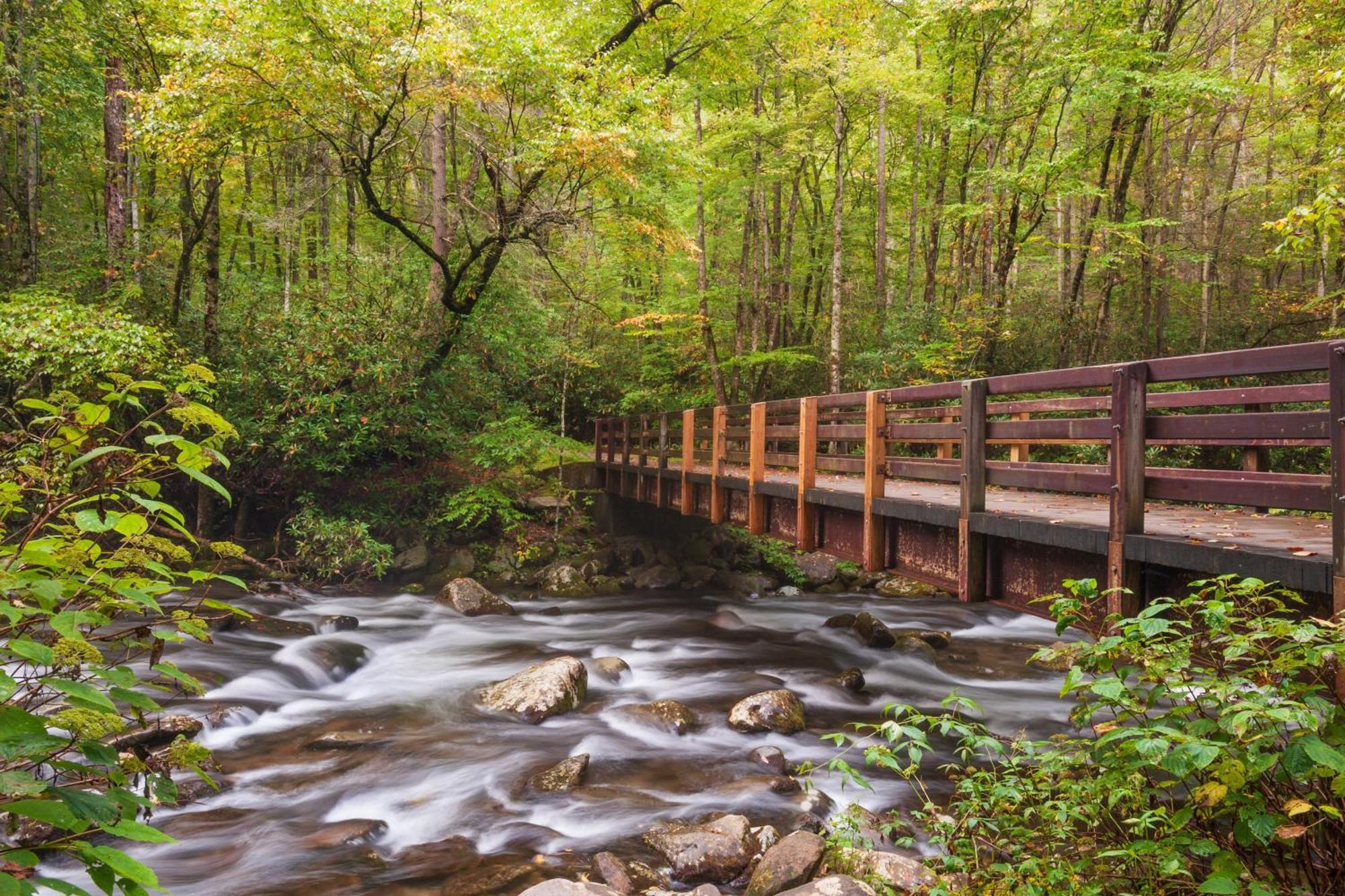 Wilderness Lodge, Hot Tub, Game Room, Pool Access, 1089 Free Tickets Each Paid Day, Dollywood And M Sevierville Εξωτερικό φωτογραφία